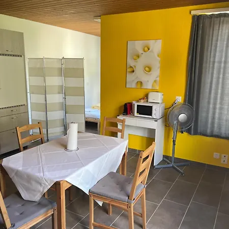 Lejlighed Rosy Interlaken