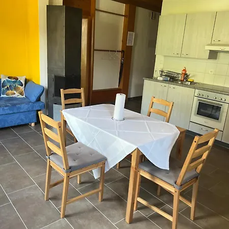 Rosy Lejlighed Interlaken