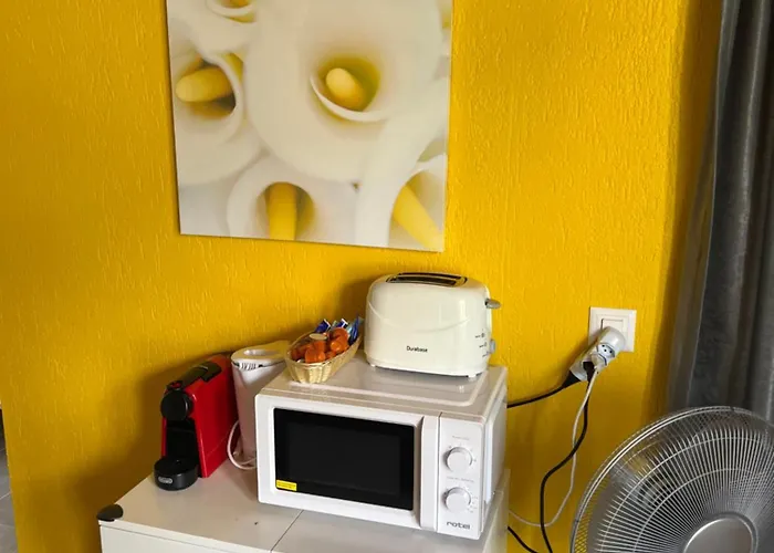 Rosy Apartment Interlaken